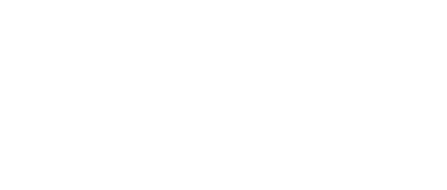 TDU